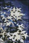 (image for) Let It Snow 3